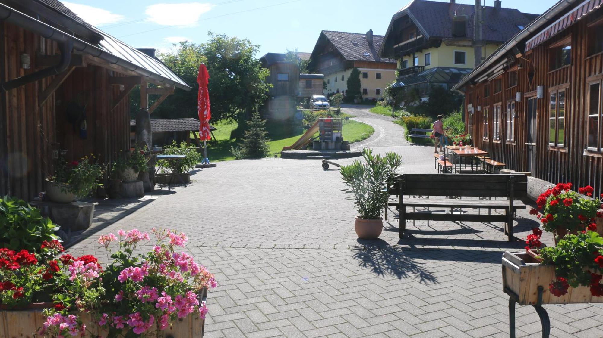 Bio Archehof Zachhiesen - Stay & Relax Seekirchen am Wallersee Exterior photo